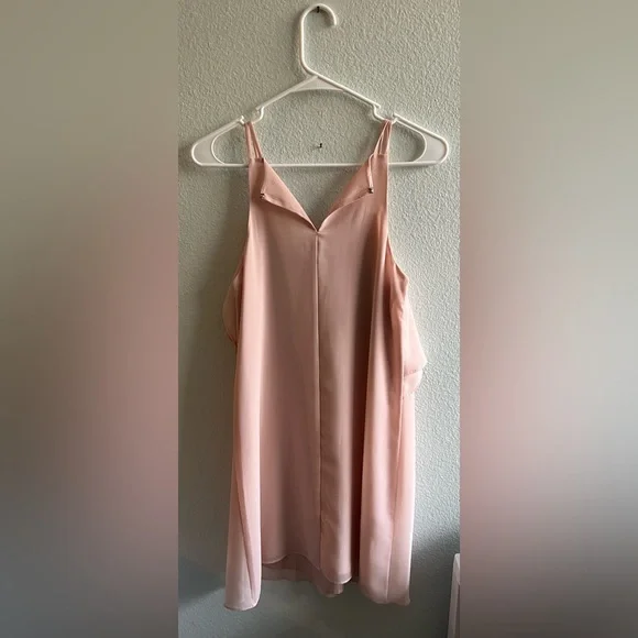 NEW LOW PRI$E! BCBG light pink sheer mini dress - Picture 2 of 3